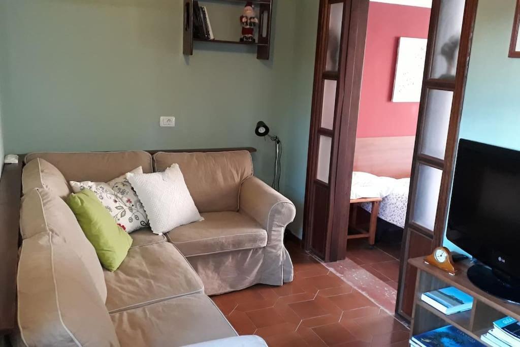 Apartamento Tranquilo En Una Casa Con Jardin La Laguna  Exterior photo