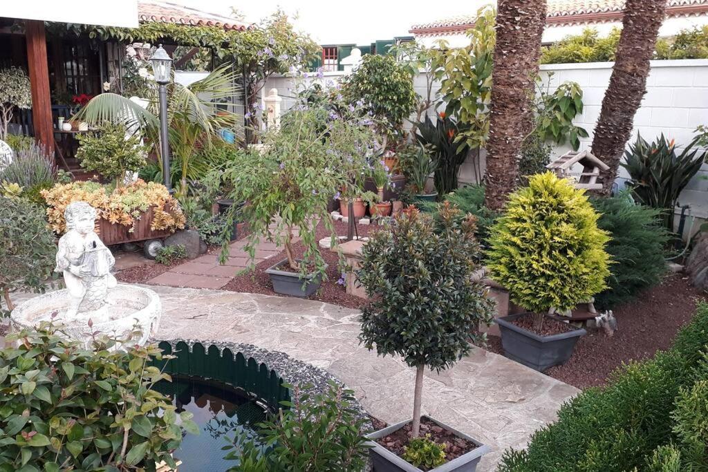 Apartamento Tranquilo En Una Casa Con Jardin La Laguna  Exterior photo