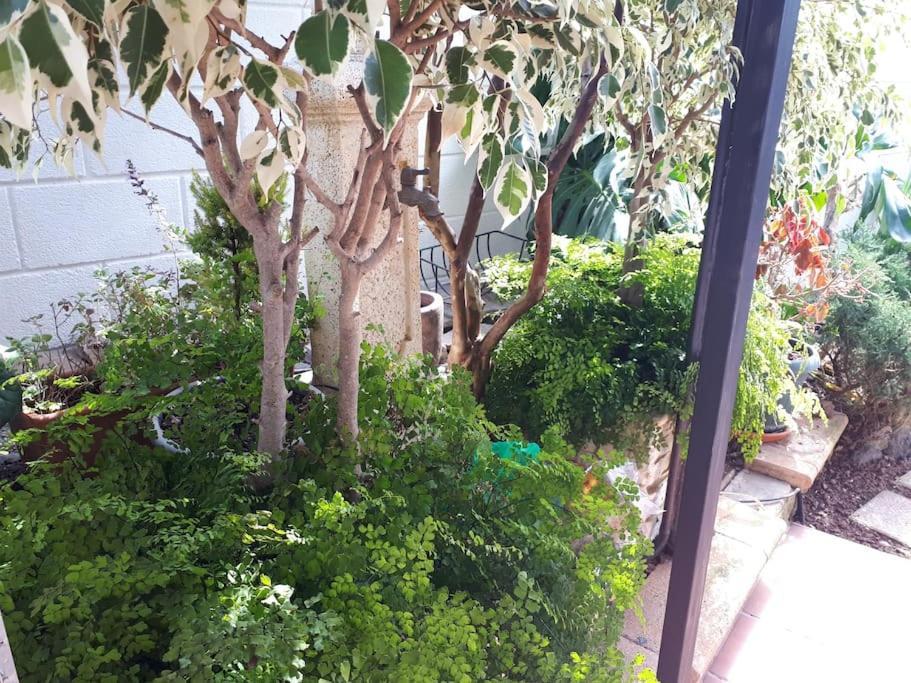 Apartamento Tranquilo En Una Casa Con Jardin La Laguna  Exterior photo